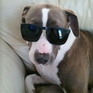 Meet your Posher, Keith